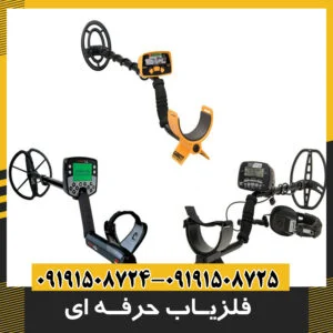 فلزیاب حرفه ای