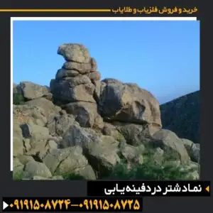 نماد شتر در دفینه یابی