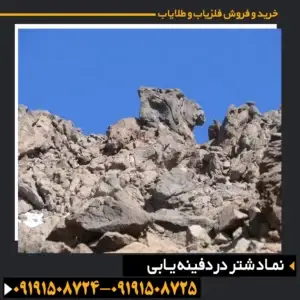 نماد شتر در دفینه یابی