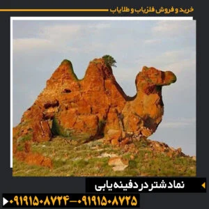 نماد شتر در دفینه یابی