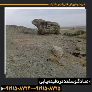 نماد گوسفند در دفینه یابی