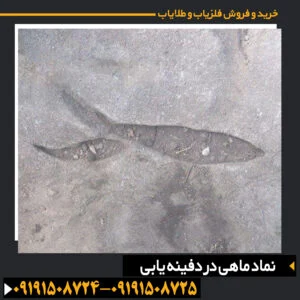 نماد ماهی در دفینه یابی