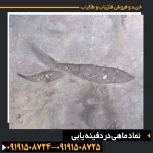 نماد ماهی در دفینه یابی
