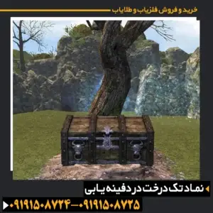 نماد درخت در گنج یابی