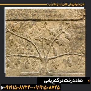 نماد درخت در گنج یابی
