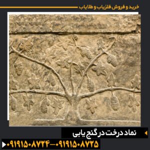 نماد درخت در گنج یابی