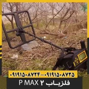 فلزیاب پی مکس 2