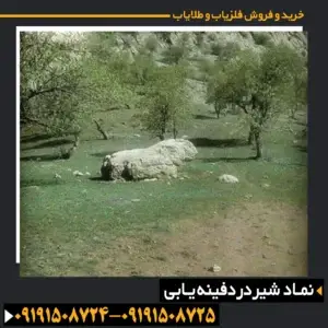نماد شیر در دفینه یابی