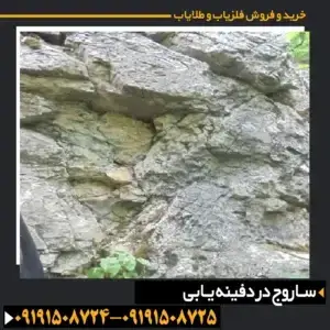 ساروج در دفینه یابی