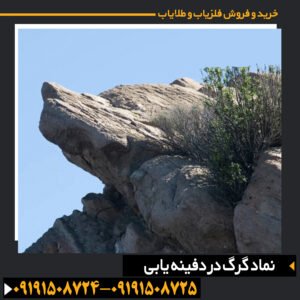نماد گرگ در دفینه یابی
