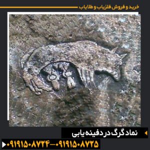 نماد گرگ در دفینه یابی