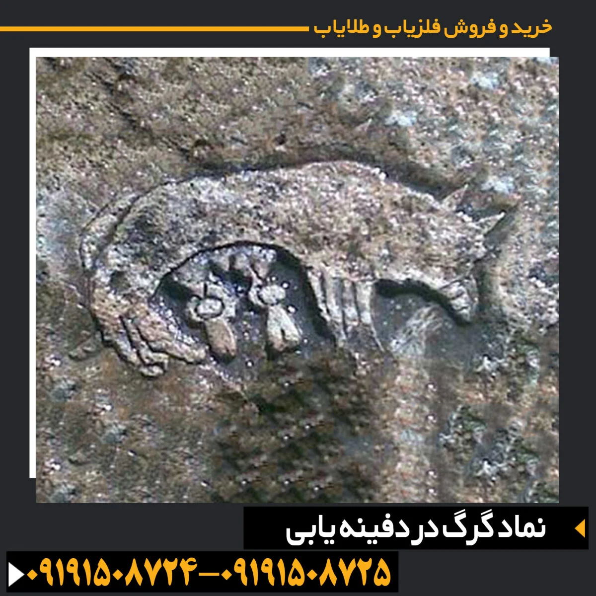 نماد گرگ در دفینه یابی