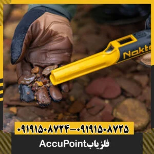 فلزیاب AccuPoint