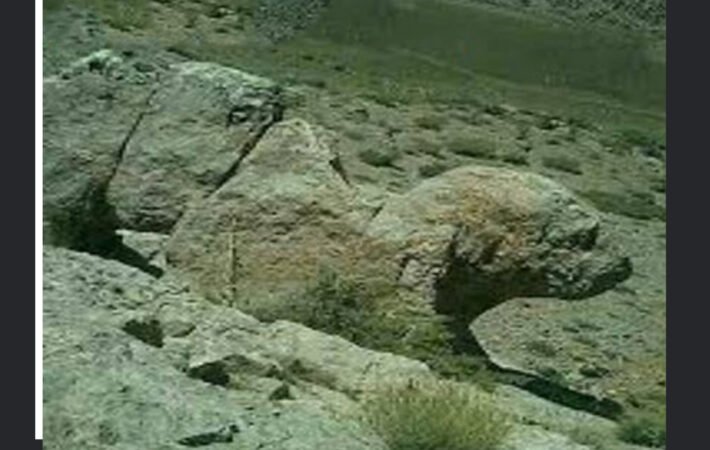 نماد سگ در دفینه یابی