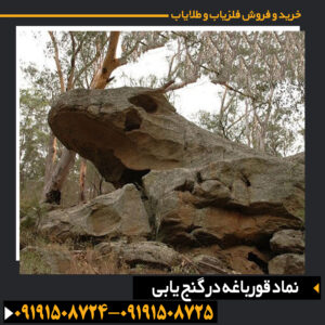 نماد قورباغه در گنج یابی