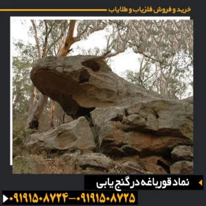 نماد قورباغه در گنج یابی