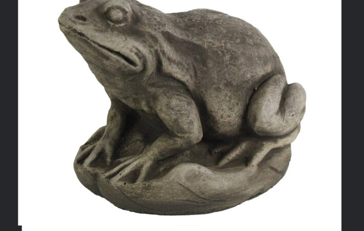 نماد قورباغه در گنج یابی