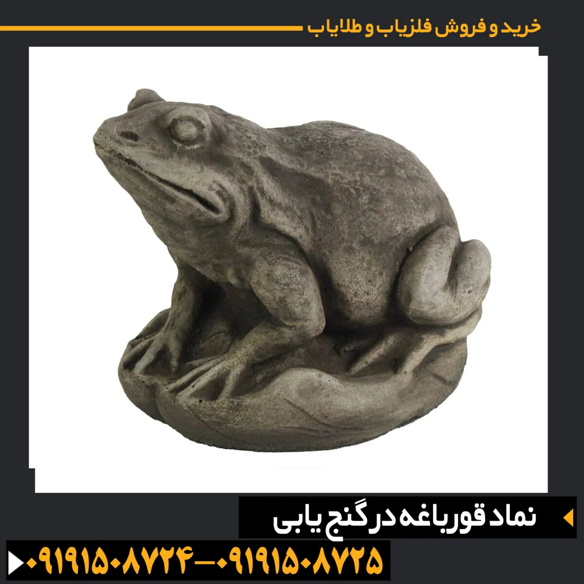 نماد قورباغه در گنج یابی