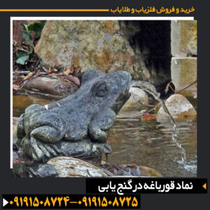 نماد قورباغه در گنج یابی