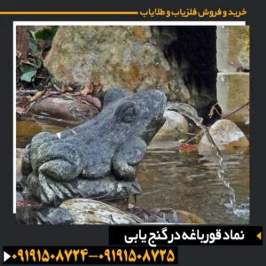 نماد قورباغه در گنج یابی