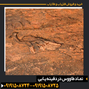 نماد طاووس در دفینه یابی