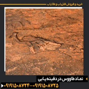 نماد طاووس در دفینه یابی