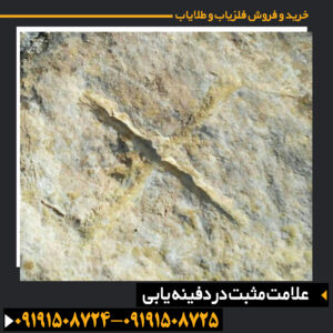 علامت مثبت در دفینه یابی