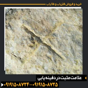 علامت مثبت در دفینه یابی