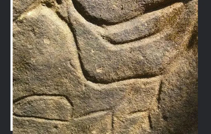 نماد کبوتر و عقاب در حکاکیهای باستانی برای راهنمایی کاوشگران دفینه 09191508725 - 09191508724