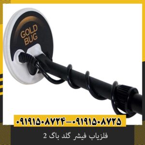 فلزیاب فیشر گلد باگ 2 تست واقعی در زمین سنگی