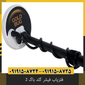 فلزیاب فیشر گلد باگ 2 تست واقعی در زمین سنگی
