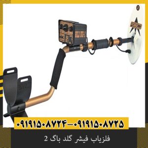 فلزیاب فیشر گلد باگ 2 تست واقعی در زمین سنگی