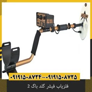 فلزیاب فیشر گلد باگ 2 تست واقعی در زمین سنگی