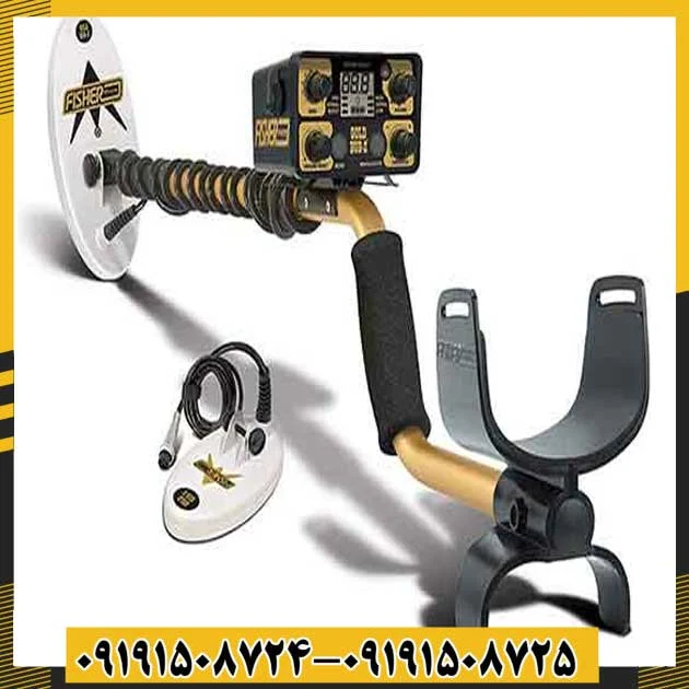 فلزیاب فیشر گلد باگ 2