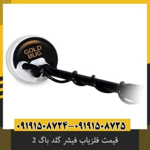 قیمت فلزیاب فیشر گلد باگ 2