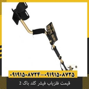 قیمت فلزیاب فیشر گلد باگ 2