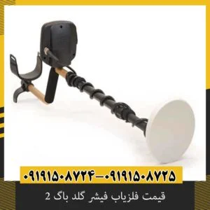 قیمت فلزیاب فیشر گلد باگ 2